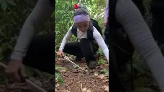 Manejo seguro de serpentes peçonhentas
