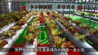 離土栽培農法－看過睡到自然醒 穿水水的農夫嗎?