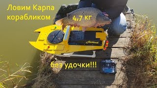 Ловим карпа без удочки - корабликом FB Shtorm! Fishing for carp without a fishing rod on a boat!