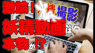【お便り】賛否両論！妖精動画は昆虫だ、いや、本物だ、大分で首吊り幽霊に出遭ってしまった話　 ATL4th154