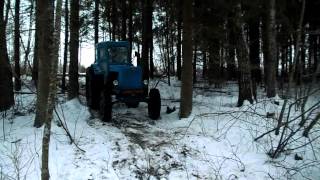 |Forest 2015|Las 2015|Miškas 2015 T-40 AM Part 1