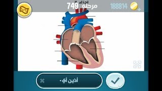 كلمات كراش 749 الاصدار الثاني