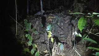 ?Pemburu Hantu dan pusaka sampai muntah muntah