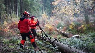 Pratique encadrée seconde Foret et ebvironnement