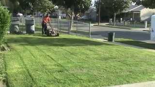 Landscaping service.