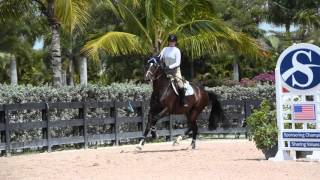 WEF 2016 // SSP