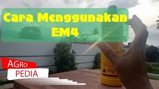 Cara memperbanyak, menggunakan em4 dan fungsi em4 pertanian