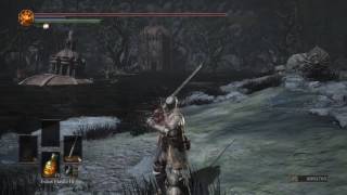 Guide to killing the dragon slayer (VERY EASILY) in the ring city DLC