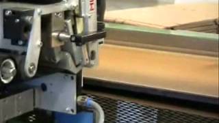 Domino M200 T150 Özel Pad Yan Etiketleme