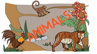 Sparkol VideoScribe | Animals, Weather, Celebration Images
