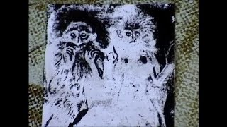 нетленные мощи двух афонских монахов-экуменистов