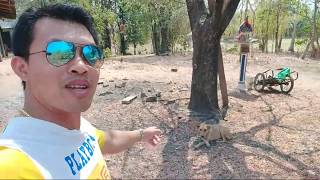 บ้านโนนหนองไฮ ชัยภูมิ ยามบ้าน แฟนพันธุ์แท้