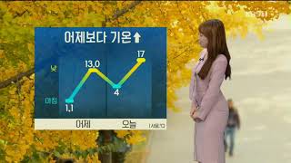 마감뉴스 강아랑기상캐스터 191109