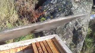 Смотри и не смейся  НО!  Передай другому что   Ты  это  видел.