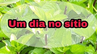 AMO A NATUREZA ????