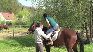 Picardie, France travel guide