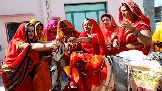 Worship the Donkey and Goddess Shitala mata on Sheetala Astami 1080 Full H D