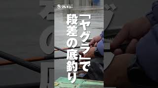 第128回釣技最前線 #Shorts #マルキユー #ヤグラ #段差の底釣り