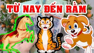 CHOÁNG VÁNG 3 Tuổi Này Sẽ KHÔNG TIÊU HẾT TIỀN Vận May Trúng Số Liên Tiếp Từ Giờ Đến Rằm Tháng GIÊNG