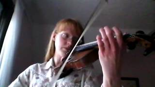 John Leary's Polka/Duggan's Polka/Dennis Doody's/The Roundabout (Polkas)