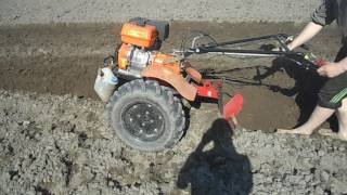 9 день. Садим картошку мотоблокам Skiper 1400