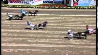 Tabcorp Pk Menangle Mini Trots