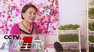 《消费主张》让居家生活更有趣（二）20200213 | CCTV财经