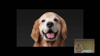 Color Management for Humans