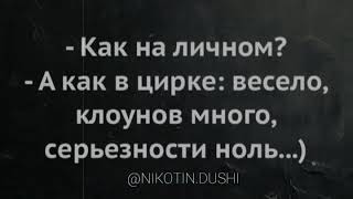 Видео цитаты 21 в.
