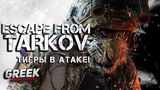 ? Стрим по игре Escape from Tarkov ( Будни ЧВК)  [18+] EFT