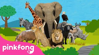????Esta Es la Sabana ????????| Canciones de Animales | Pinkfong Canciones Infantiles