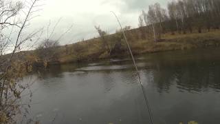 Ловля окуня на кракозябру