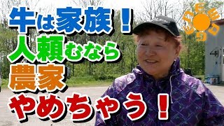 牛は家族！人を頼むぐらいなら農家やめちゃう！