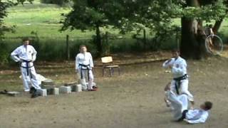 Program demonstrativ-clubul de taekwon-do "Elohim"