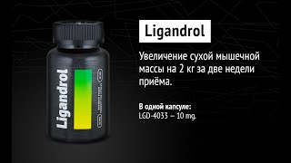 Вся ПРАВДА о SARMs / САРМс (Лигандрол LGD 4033, Ибутаморен MK 677, Радарин RAD140, YK11)