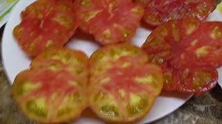 Томаты - новинки 2022 года. Томат Восход джаза поразил меня своей красотой и вкусом! Дегустация.