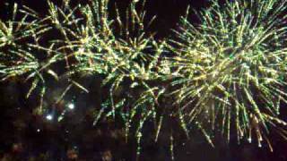 Wimbledon Park Fireworks (5 Nov 2008)