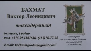Часть 1. 11open European taxidermy Championsips 2018 Salzburg, Austria.