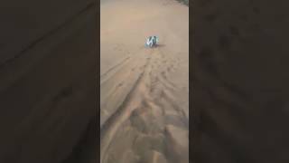 domenica bustamante en las dunas