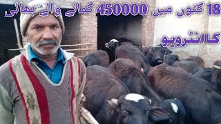 Katta farming in Pakistan |How to start Katta farming in Pakistan |Business talks official