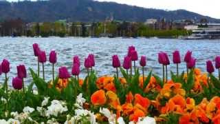 zürich zürichsee,rhein wasserfall schaffhausen
