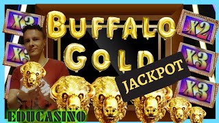 ?️?JACKPOT? BUFFALO GOLD COLLECTION?CRAZY GOLD HEADS? ?GAME RULES & ALL PAYS