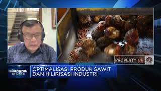 Sederet Tantangan Optimalisasi Produk Sawit & Hilirisasi Industri RI