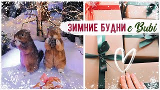 ЗИМНИЕ БУДНИ с Bubi Упаковываем ПОДАРКИ Готовим Вместе НОВОГОДНИЕ НОВИНКИ ZARA HOME