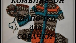 Мои работы. Комбинезон и шапочка для маленькой собачки...)))