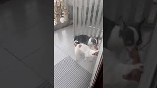 Bokep indo terbaru 2018