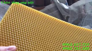 CHÂN TẦNG ONG NỘI CHẤT LƯỢNG NHẤT PHỤC VỤ MÙA NHÂN ĐÀN 2020. LH 0962417729 - 0983781388