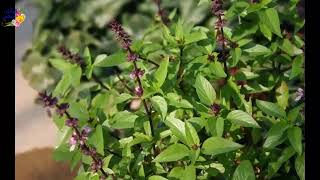 تابعوا معنا قصة (الدعاء مستجاب ومعجزات الصالحين) من روائع القصص الواقعية