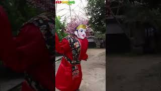 KOE TAK SAYANG SAYANG - KEPOMPONG BALON #shortvideo #shortsfeed #share #shorts #short #shortsvideo