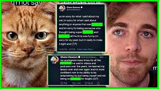 Shane Dawson RESPONDS To Cat DRAMA!